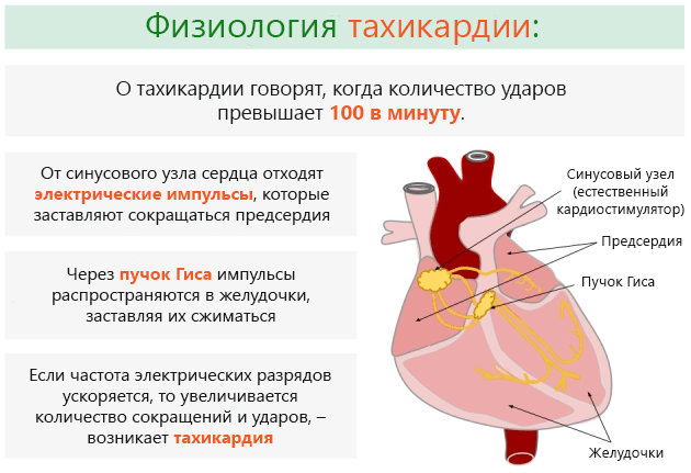 Диагностика щитовидной железы при помощи МРТ