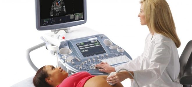 В каких случаях назначается УЗИ с доплером при беременности