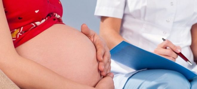 Что показывает УЗИ на 13 неделе беременности