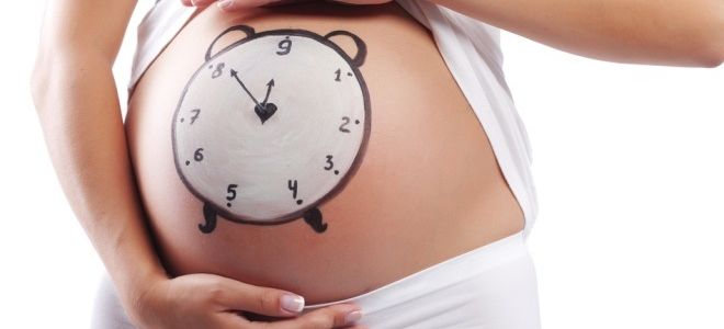 На каком сроке нужно проводить второе УЗИ при беременности