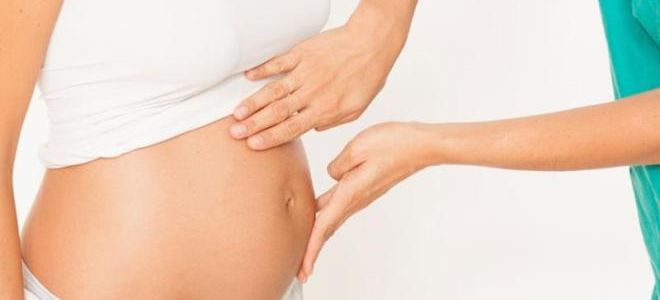Особенности УЗИ в 9 недель беременности