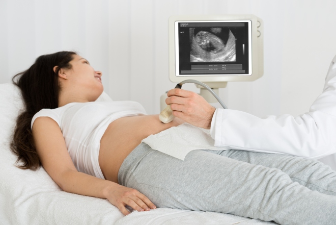 Проведение УЗИ во 2 триместре беременности