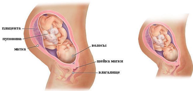 Развитие ребенка на 36 неделе беременности