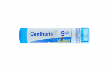 Кантарис (Cantharis) в гомеопатии: показания к применению