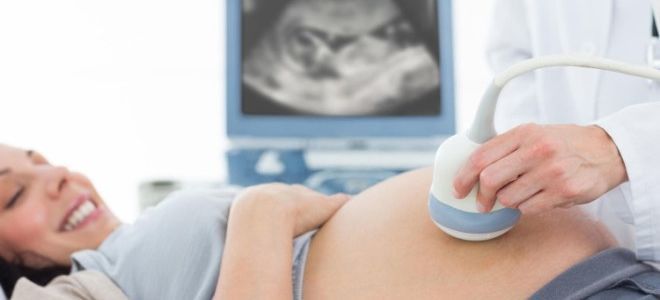 На каком сроке проводится третье УЗИ при беременности