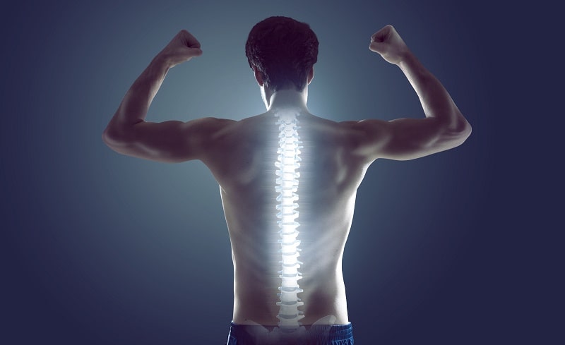 Рентген спины: особенности проведения и результаты