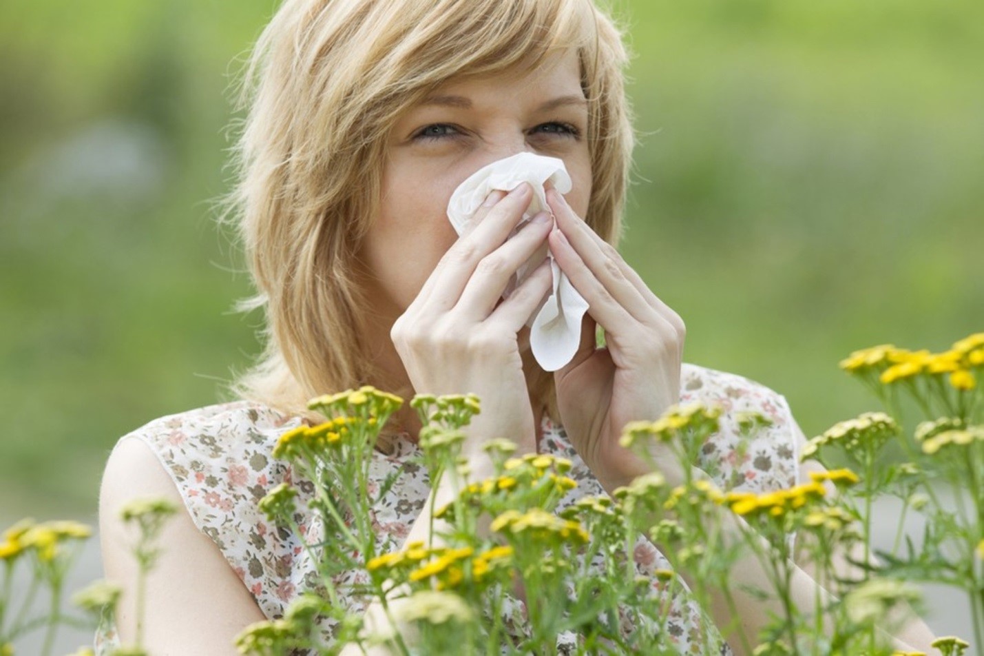 Причиной развития аллергического синусита становятся различные аллергены