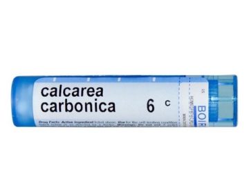 Калькарея карбоника (Кальциум карбоникум) в гомеопатии