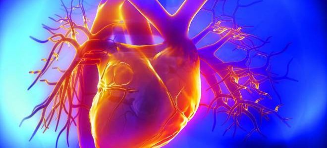 Особенности проведения КТ сердца