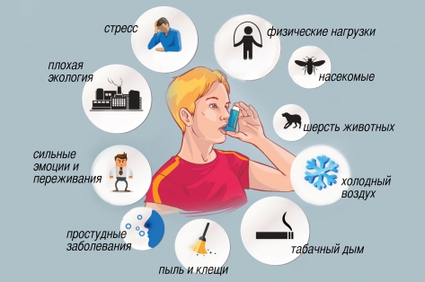 Бронхиальная астма: симптомы, лечение, неотложная помощь в домашних условиях