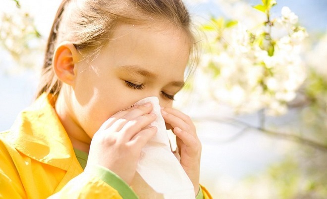 Основные причины аллергического гайморита, симптомы и основы терапии,Причины развития аллергии