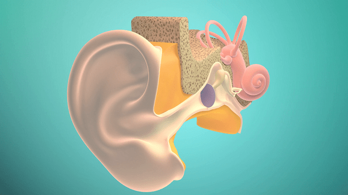 Магнитно-резонансная и компьютерная томография: инструментальные методы диагностики уха