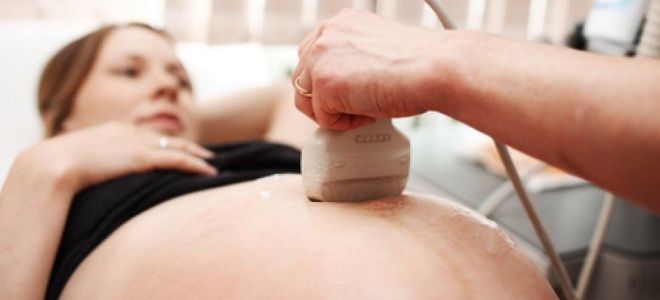 В какие сроки и насколько часто можно проводить УЗИ при беременности