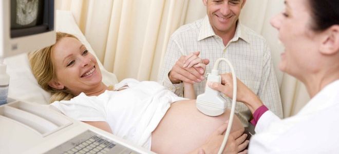 Сроки и особенности проведения третьего скрининга при беременности