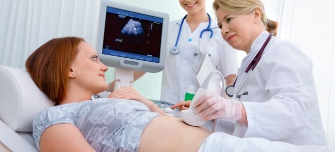 Проведение УЗИ на 1 триместре беременности